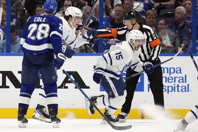 Five things to know about the NHL playoffs | iNFOnews.ca