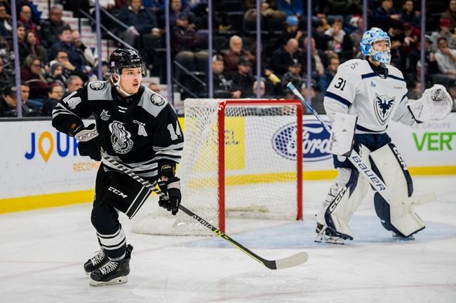 A new era in Gatineau: Red-hot Olympiques on impressive run heading into QMJHL semis | iNFOnews.ca A new era in Gatineau: Red-hot Olympiques on impressive run heading into QMJHL semis | iNFOnews.ca