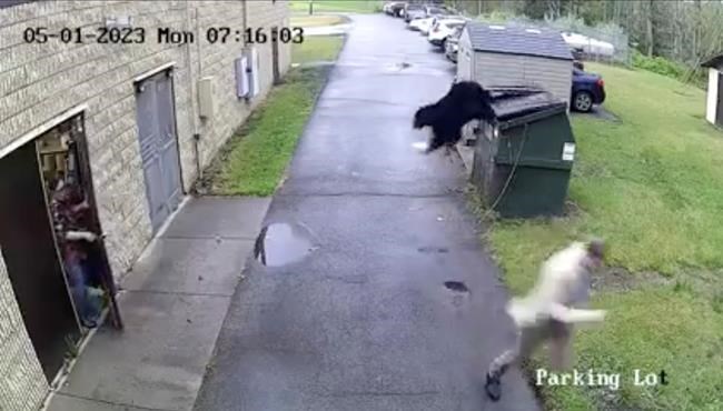 Bear gives West Virginia principal a roaring wake-up call | iNFOnews.ca Bear gives West Virginia principal a roaring wake-up call | iNFOnews.ca