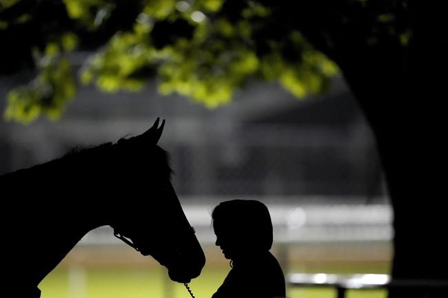 Churchill Downs investigates 4 horse deaths ahead of Derby | iNFOnews.ca Churchill Downs investigates 4 horse deaths ahead of Derby | iNFOnews.ca