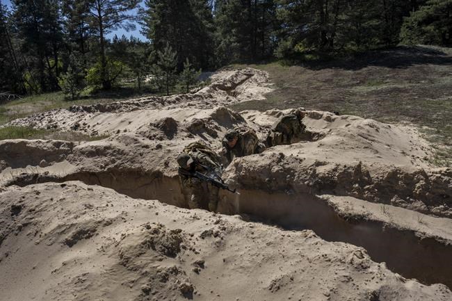 In Ukraine’s forests, fighters race to prepare for next push | iNFOnews.ca