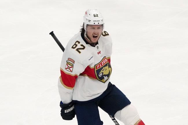 Brandon Montour shining for surprising Panthers: 'I just wanted to run with it' | iNFOnews.ca