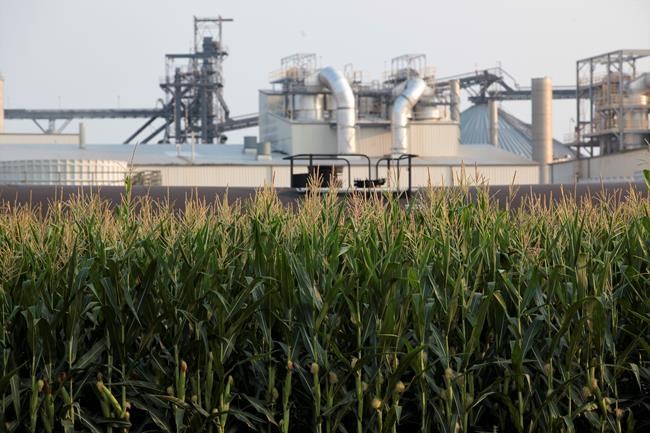 Iowa judge favors property owners in pipeline dispute | iNFOnews.ca