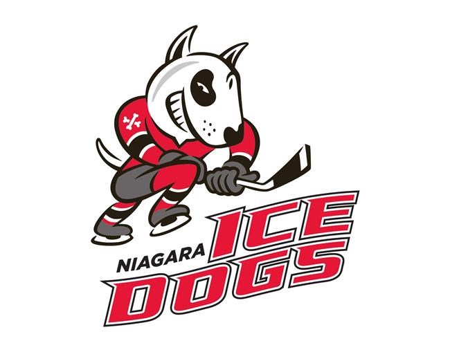 Icedogs players kicked out, GM handed two-year suspension for violating OHL policies | iNFOnews.ca