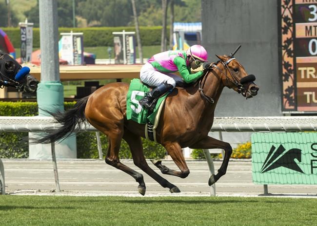 Woodbine jockey Kimura, Mandarin Hero draw into Kentucky Derby | iNFOnews.ca