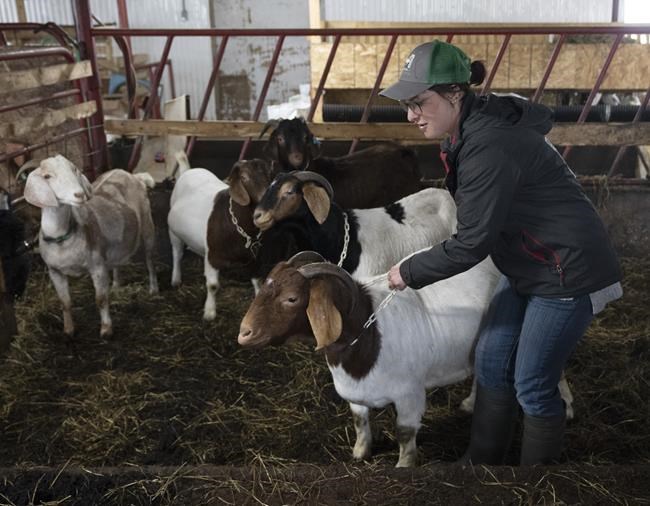 High costs putting farming out of reach for young people, affecting all Canadians | iNFOnews.ca High costs putting farming out of reach for young people, affecting all Canadians | iNFOnews.ca
