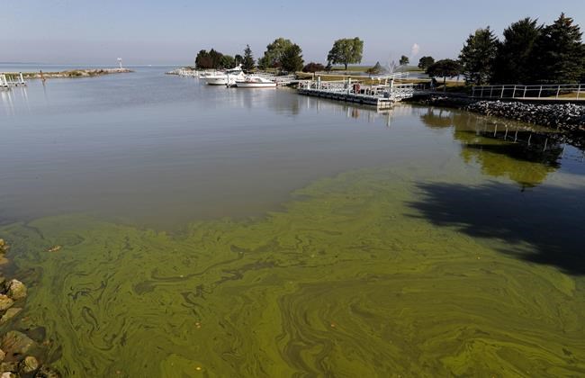 Judge sets a deadline to put Lake Erie on pollution diet | iNFOnews.ca