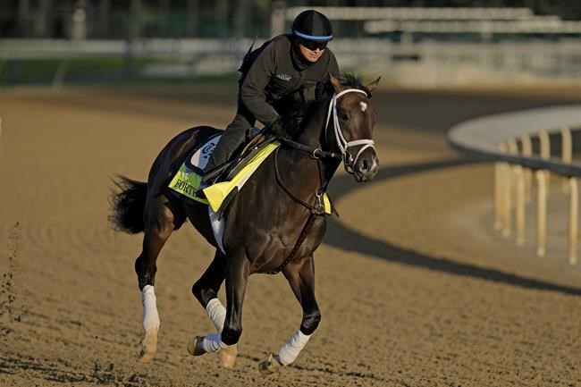 Early Kentucky Derby favorite Forte scratched from race | iNFOnews.ca Early Kentucky Derby favorite Forte scratched from race | iNFOnews.ca