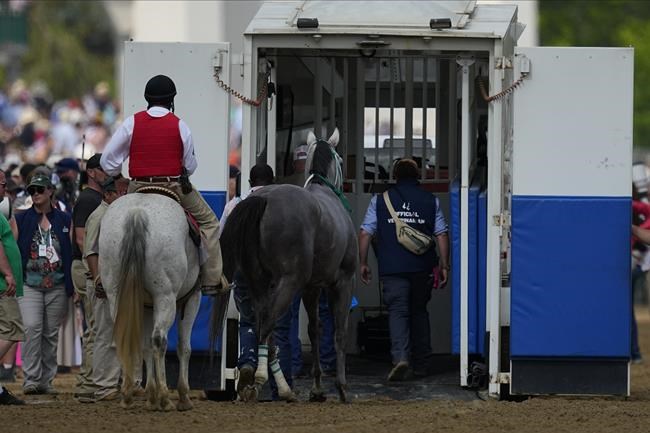 In the shadow of 7 horse deaths, party goes on at the Derby | iNFOnews.ca In the shadow of 7 horse deaths, party goes on at the Derby | iNFOnews.ca