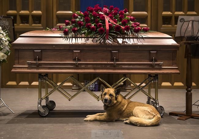Tears, joy and tributes as fans pay respects to Gordon Lightfoot in his hometown | iNFOnews.ca