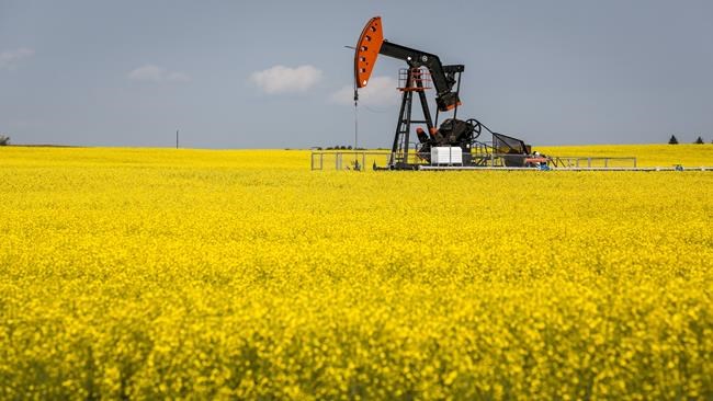 Canola industry concerned about export access to China after diplomatic spat | iNFOnews.ca