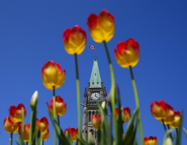 Are Canada's green corporate subsidies a new race to the bottom or a path to the top? | iNFOnews.ca Are Canada's green corporate subsidies a new race to the bottom or a path to the top? | iNFOnews.ca