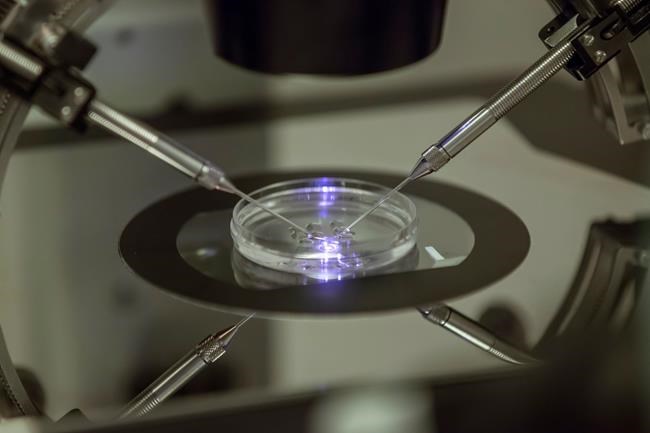1st babies born in Britain using DNA from 3 people | iNFOnews.ca 1st babies born in Britain using DNA from 3 people | iNFOnews.ca