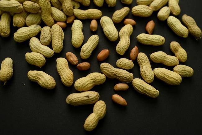 A skin patch to treat peanut allergies? Study in toddlers shows promise | iNFOnews.ca