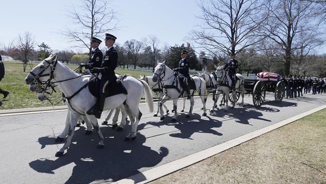 After Arlington National Cemetery horse deaths, Army makes changes to improve their care | iNFOnews.ca After Arlington National Cemetery horse deaths, Army makes changes to improve their care | iNFOnews.ca