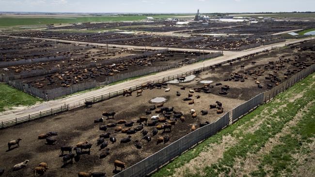 China's ban on Canadian beef still in place year-and-a-half later; industry in dark | iNFOnews.ca CP1991080344