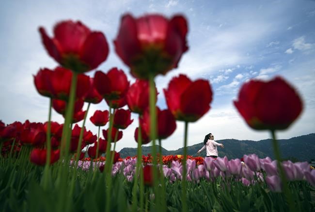 Controversy after Quebec teachers replace Mother's Day with celebration of parents | iNFOnews.ca Controversy after Quebec teachers replace Mother's Day with celebration of parents | iNFOnews.ca