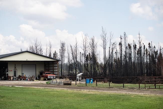 Evacuee numbers fall in Alberta wildfires as firefighters brace for hot weather | iNFOnews.ca