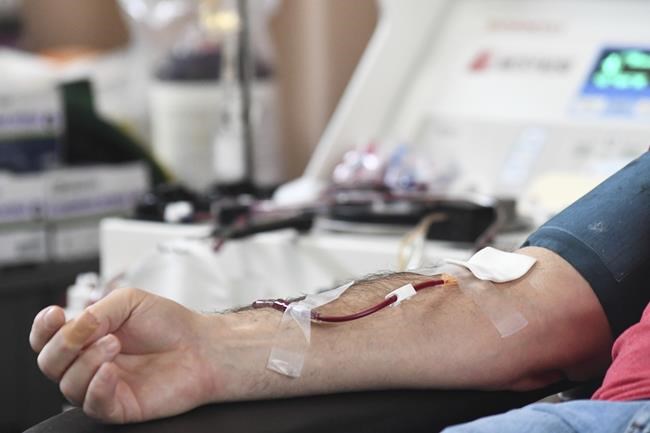 New blood donation rules allow more gay men to give in US | iNFOnews.ca New blood donation rules allow more gay men to give in US | iNFOnews.ca