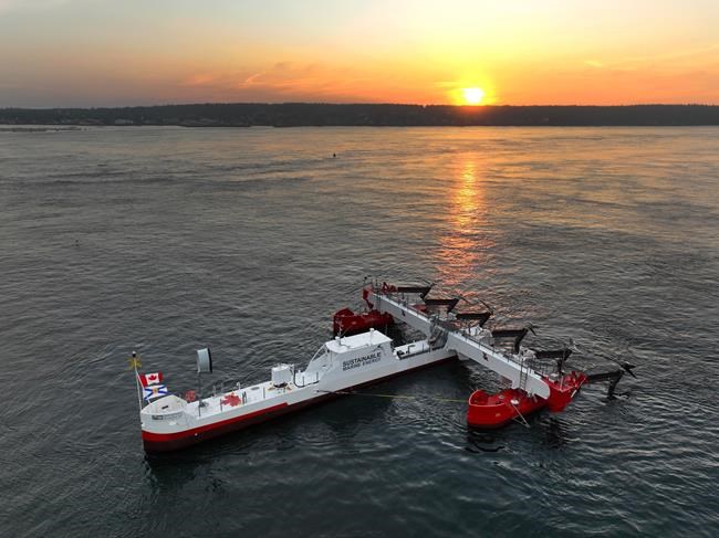 As tidal-power firms ebb, Fisheries minister strikes task force to clarify regulation | iNFOnews.ca
