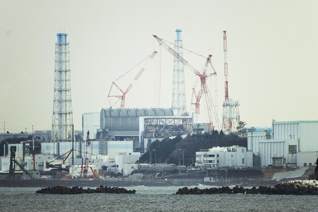 Japan nuclear watchdog asks Fukushima plant operator to assess risk from reactor damage | iNFOnews.ca