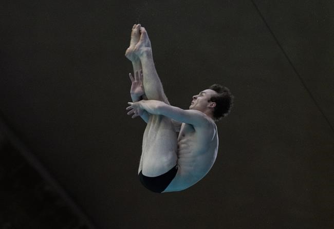 Hattie claims diving gold in national 3M springboard | iNFOnews.ca Hattie claims diving gold in national 3M springboard | iNFOnews.ca