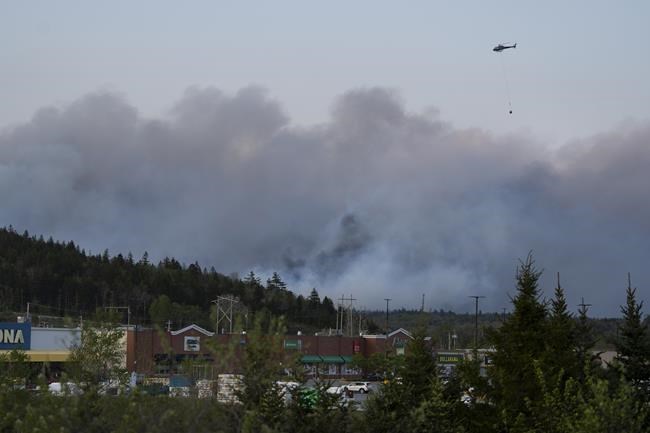 Pregnant people should be especially vigilant when wildfires pollute the air: doctor | iNFOnews.ca Pregnant people should be especially vigilant when wildfires pollute the air: doctor | iNFOnews.ca