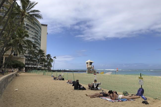 Hawaii reopens popular stretch of Waikiki beach after endangered monk seal pup weans | iNFOnews.ca Hawaii reopens popular stretch of Waikiki beach after endangered monk seal pup weans | iNFOnews.ca