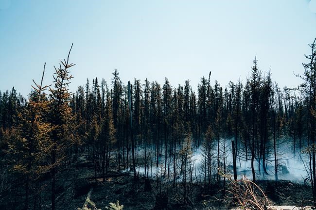 Wildfire tally tops 150 as thousands more evacuate northwestern Quebec | iNFOnews.ca
