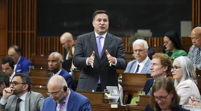 'Unmitigated gall': Senator rejects minister's call to pass Liberal guns bill quickly | iNFOnews.ca CP387615447