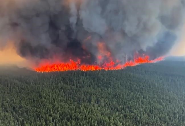 Wildfire triggers evacuation order for Tumbler Ridge, B.C. | iNFOnews.ca Wildfire triggers evacuation order for Tumbler Ridge, B.C. | iNFOnews.ca