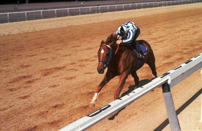 Book shines a light on successes, challenges experienced by Turcotte brothers | iNFOnews.ca