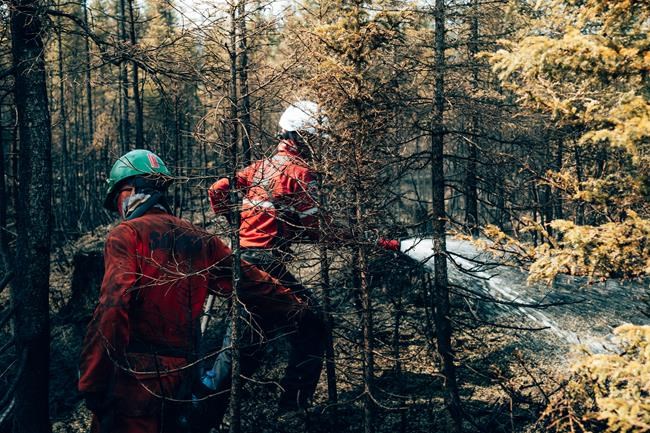 Threatened town now safe as Quebec makes progress on battling wildfires | iNFOnews.ca