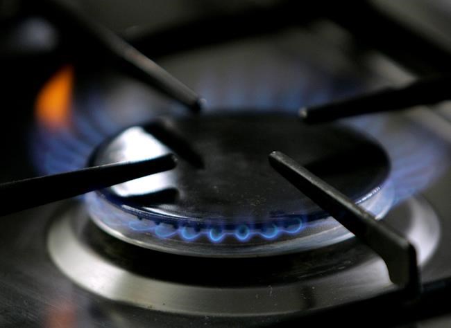 Time to ditch your gas stove for health reasons? The answer is 'murky,' experts say | iNFOnews.ca Time to ditch your gas stove for health reasons? The answer is 'murky,' experts say | iNFOnews.ca