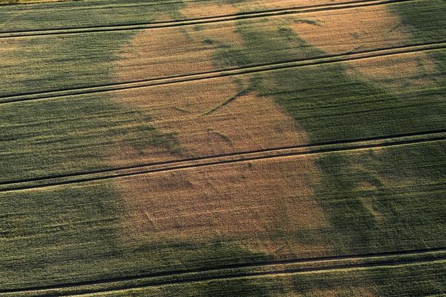 Drought and rising heat bring unusual wildfire warnings in northern Europe | iNFOnews.ca Drought and rising heat bring unusual wildfire warnings in northern Europe | iNFOnews.ca