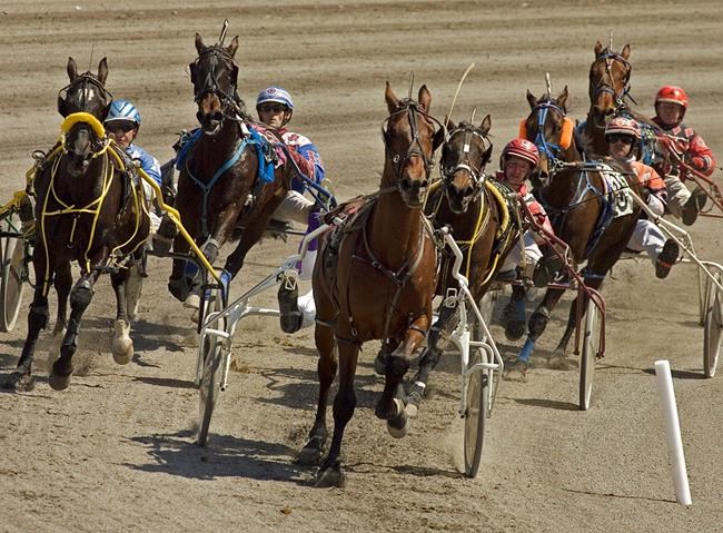 James MacDonald decides to drive Redwood Hanover in North America Cup | iNFOnews.ca