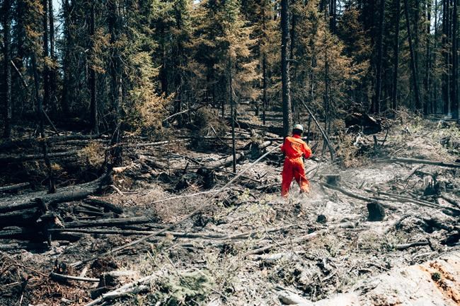 Residents of Quebec town evacuated 2 weeks ago because of fire to return home Sunday | iNFOnews.ca Residents of Quebec town evacuated 2 weeks ago because of fire to return home Sunday | iNFOnews.ca