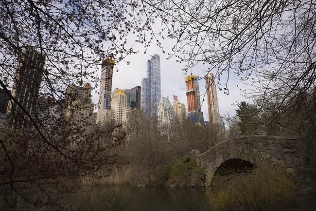 Man stabs pit bull to death in Central Park after argument between dog walkers | iNFOnews.ca Man stabs pit bull to death in Central Park after argument between dog walkers | iNFOnews.ca