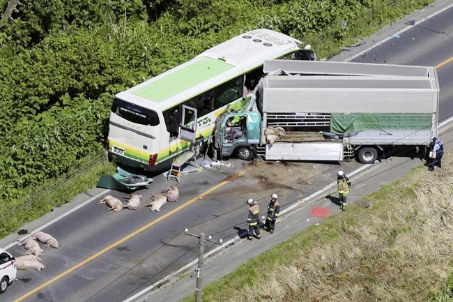 5 killed after truck collides with bus in Hokkaido in northern Japan | iNFOnews.ca