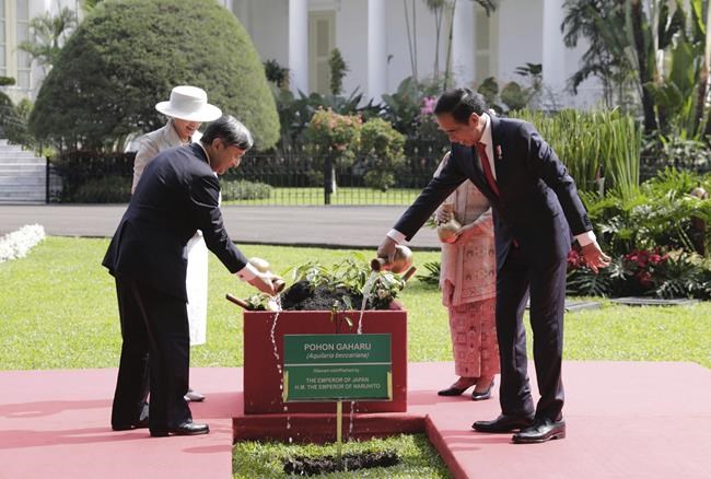 Japan's emperor meets with Indonesian president on his first official foreign trip as monarch | iNFOnews.ca Japan's emperor meets with Indonesian president on his first official foreign trip as monarch | iNFOnews.ca