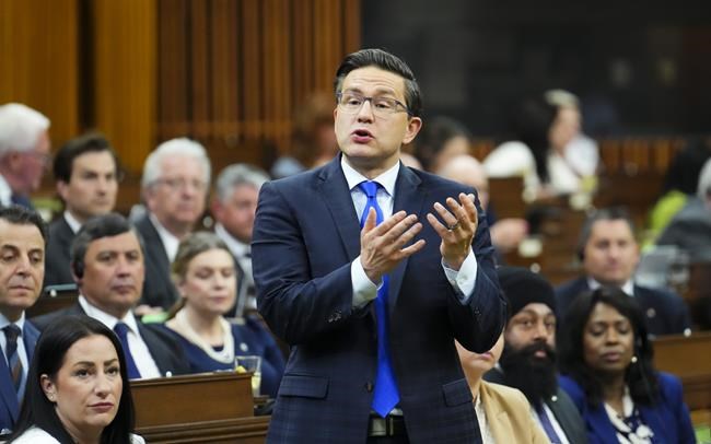 Call public inquiry first, then Tories will suggest who can lead it: Poilievre | iNFOnews.ca Call public inquiry first, then Tories will suggest who can lead it: Poilievre | iNFOnews.ca