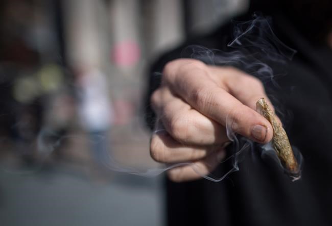 Risk of cannabis addiction higher for young men, people with anxiety: StatCan survey | iNFOnews.ca Risk of cannabis addiction higher for young men, people with anxiety: StatCan survey | iNFOnews.ca