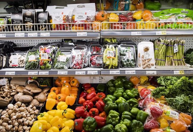 Rising grocer profit margins underscore need for competition, regulator finds | iNFOnews.ca Rising grocer profit margins underscore need for competition, regulator finds | iNFOnews.ca