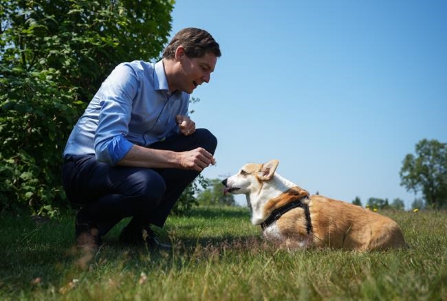 B.C. shells out $12M for four new animal shelters across province as demand rises | iNFOnews.ca B.C. shells out $12M for four new animal shelters across province as demand rises | iNFOnews.ca