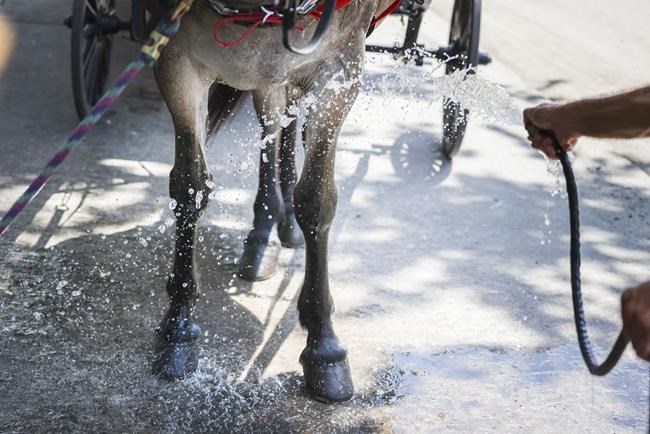 The heat wave blamed for 13 deaths in Texas so far spreads eastward | iNFOnews.ca