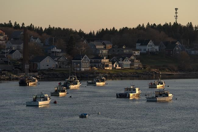 The world's tallest flagpole. A tiny Maine town. An idea meant to unite people is dividing them | iNFOnews.ca The world's tallest flagpole. A tiny Maine town. An idea meant to unite people is dividing them | iNFOnews.ca