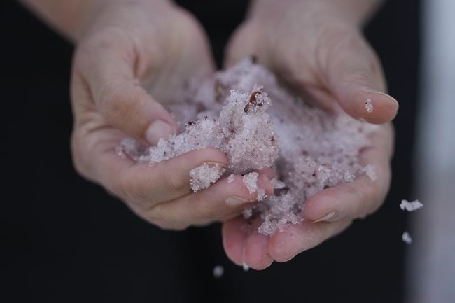 'Watermelon snow' piques curiosities in Utah after abnormally wet winter | iNFOnews.ca 'Watermelon snow' piques curiosities in Utah after abnormally wet winter | iNFOnews.ca