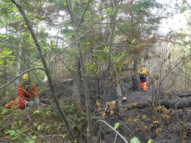 Quebec forest fire situation continues to improve with rain but risks remain: SOPFEU | iNFOnews.ca Quebec forest fire situation continues to improve with rain but risks remain: SOPFEU | iNFOnews.ca
