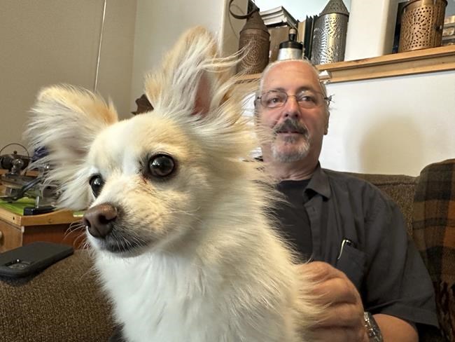 ThunderShirts, dance parties and anxiety meds can help ease dogs' July Fourth dread | iNFOnews.ca ThunderShirts, dance parties and anxiety meds can help ease dogs' July Fourth dread | iNFOnews.ca