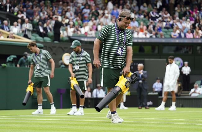 Novak Djokovic uses his towel at Wimbledon to help dry the Centre Court grass after a rain delay | iNFOnews.ca Novak Djokovic uses his towel at Wimbledon to help dry the Centre Court grass after a rain delay | iNFOnews.ca